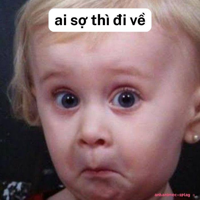 hình meme ai sợ thì đi về bựa hài hước